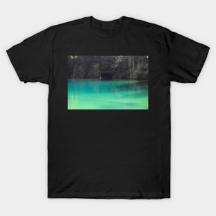 Switzerland - blausee T-Shirt